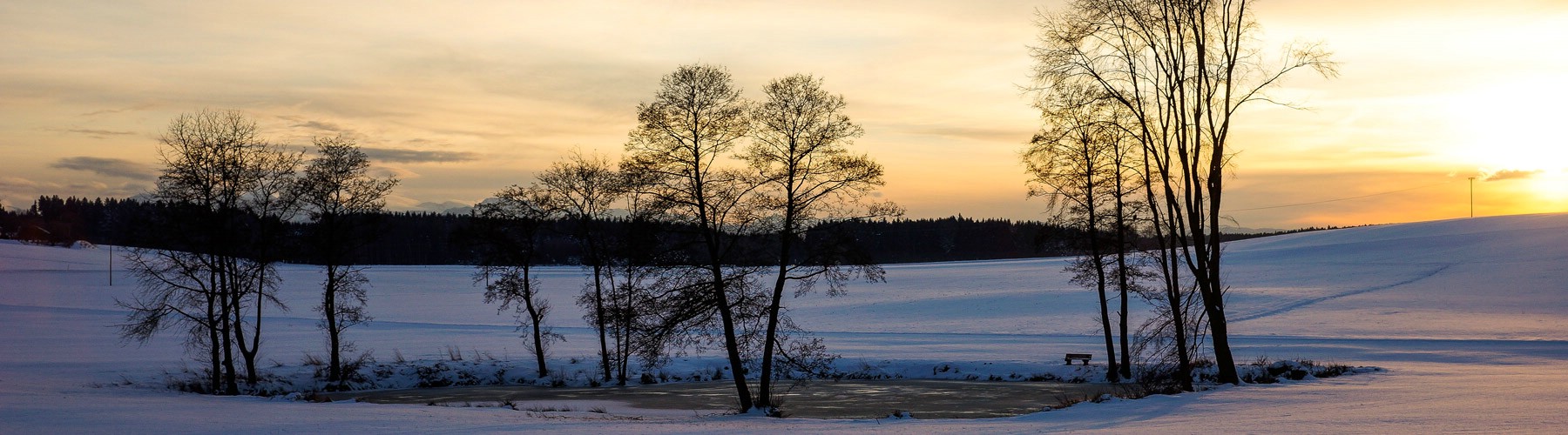 Header Bild-5-1800x500.jpg